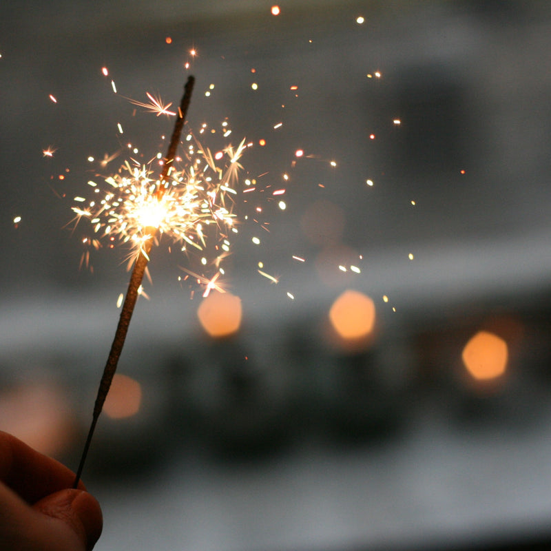 New Year, New Arrivals