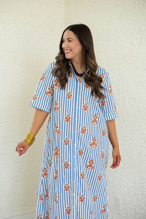 Karlie Stripe Floral Maxi Dress in Blue