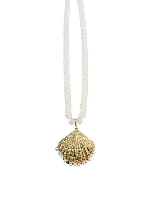 Necklace with a shell pendant on a white background