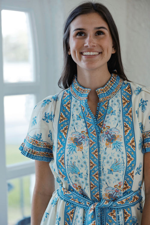 Elizabeth James Carlisle Dress in Indienne