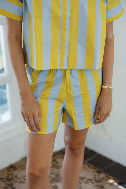 Livro Pool Shorts in Brimstone Stripe