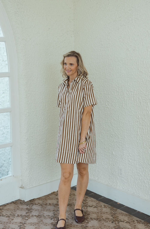 Karlie Brown and White Stripe Shirt Dress