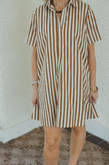 Karlie Brown and White Stripe Shirt Dress