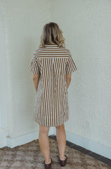 Karlie Brown and White Stripe Shirt Dress