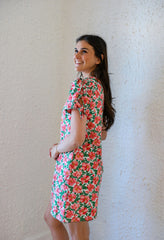 Elizabeth James Louisa Dress in Pretty in Pinks