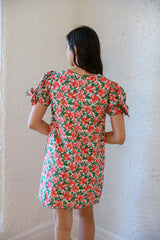 Elizabeth James Louisa Dress in Pretty in Pinks