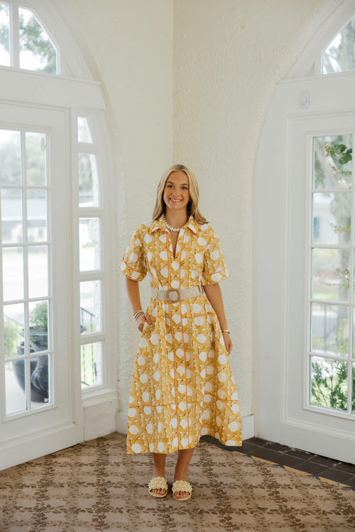 Elizabeth James Collins Dress in Wicker