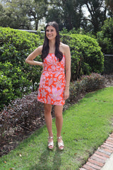 IMG-4227